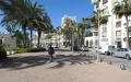 Agadir en crisis : Vecinos exigen solución urgente a perros callejeros y personas sin hogar