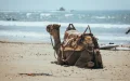 Agadir : El nuevo paraíso fiscal y solar para jubilados franceses en Marruecos