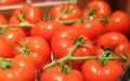 Agricultura : cómo la tomate marroquí se ha impuesto a la cabeza del mercado europeo