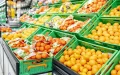 Alerta alimentaria : España podría depender de Marruecos en 10 años, advierte SOS Rural