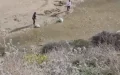 Alerta ambiental : Masiva muerte de peces en río cerca de Tánger desconcierta a expertos
