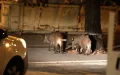 Alerta en Essaouira : Jabalíes invaden calles y atemorizan a vecinos
