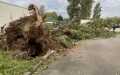 Alerta meteorológica : Depresión Kirk pierde fuerza pero impacta en Marruecos y Europa