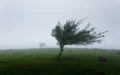 Alerta naranja en Marruecos : Vientos de hasta 95 km/h azotan varias provincias