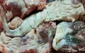 Alerta sanitaria : Cómo evitar carne contaminada durante el Aïd Al-Adha en Marruecos