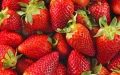 Alerta sanitaria : Fresas marroquíes contaminadas con hepatitis A llegan a España