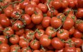 Alerta sanitaria : Tomates españoles contaminados con pesticidos peligrosos