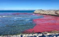 Alerta en Tánger : Sustancia misteriosa tiñe de rojo la playa de Merkala