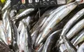 Anchoas procedentes de Marruecos provocan una alerta alimentaria en Francia