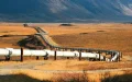 Argelia revela : El cierre del gasoducto Magreb-Europa fue por motivos económicos, no políticos