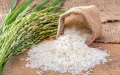 Arroz : Marruecos ataca a la OMC