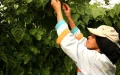 Auge de la inversión agroalimentaria española en Marruecos : más de 360 empresas aprovechan oportunidades