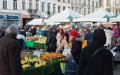 Bélgica endurece la reagrupación familiar : nuevo umbral de ingresos y límite de edad