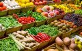 Boom agrícola : Marruecos lidera las importaciones de frutas y verduras en España