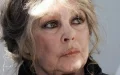Brigitte Bardot acusa a la FIFA de ignorar matanza de perros en Marruecos por Mundial 2030