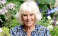 Camilla en Marrakech : La reina británica se recupera en secreto en la exótica ciudad marroquí