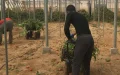En los campos marroquíes, los migrantes subsaharianos se vuelven indispensables