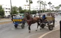 Caos en Casablanca : Carros tradicionales desafían la modernización del transporte urbano