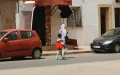 En Casablanca, los cargos electos ya no quieren esperar a las quejas para combatir las ratas y las cucarachas