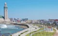 Casablanca condenada a pagar 50.000 dirhams por ataque de perros callejeros