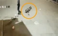 Casablanca : Detienen a agresor tras brutal ataque a policía captado en video viral