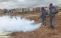 Casablanca lanza ofensiva contra mosquitos : Calor y salud en juego