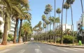 Casablanca revoluciona su paisaje urbano : adiós a las palmeras, bienvenida biodiversidad
