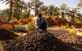 Fès se transforma : 1.780 millones para modernizar vías ante el Mundial 2030