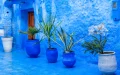 Chefchaouen : La joya azul de Marruecos que cautiva al mundo