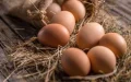 Crisis alimentaria en Marruecos : El precio de los huevos se dispara en Rabat