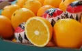 Crisis de cítricos : Naranjas en Marruecos alcanzan precios récord por escasez y exportaciones
