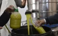 Crisis del oro líquido : El aceite de oliva en Marruecos alcanza precios récord pese a importaciones