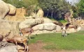 Crisis financiera frena la inauguración del zoo de Casablanca : 70 millones de dírhams en juego
