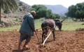 Crisis hídrica en Marruecos : La sequía obliga a replantear el futuro agrícola del país