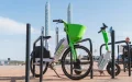 Desarticulan red internacional : Bicicletas robadas en Francia acababan en Marruecos