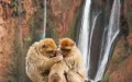 Descubre las 10 joyas naturales de Marruecos : Un viaje desde el Sahara al Atlántico