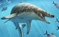 Descubren en Marruecos al 'demonio marino' del Jurásico : Khinjaria acuta, el depredador de 8 metros