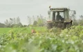 Desmantelan red de explotación laboral marroquí en Francia : 22 víctimas y 6 detenidos