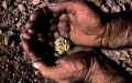 Desmantelan red de minería ilegal : Oro y corrupción en el desierto marroquí