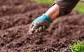 EE.UU. reduce aranceles a OCP : Giro en la guerra de fertilizantes fosfatados