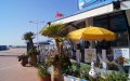 Escándalo en Agadir : Pareja de "Casados a primera vista" rechazada de restaurante por su perro