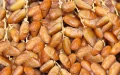 Escándalo de dátiles : Túnez revende producto argelino en Marruecos antes del Ramadán