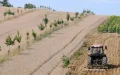 Escándalo en Lot-et-Garonne : Agricultora explotó a 20 marroquíes en condiciones de esclavitud moderna