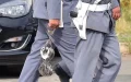 Escándalo en Marruecos : Gendarmes condenados a 9 años por falsificar actas judiciales