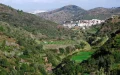 Escándalo en Tetuán : Tala ilegal y urbanización clandestina amenazan el bosque de Kitane