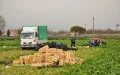 España : 13 horas de trabajo por casi nada, la trampa de los marroquíes sin papeles