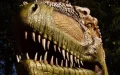 Fósiles en Casablanca revelan diversidad de dinosaurios antes del apocalipsis de Chicxulub
