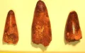 La Francia devuelve un tesoro prehistórico a Marruecos