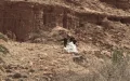 Frontera Marruecos-Argelia : disparos cerca de Ksar Ich, ¿hay que temer una escalada ?