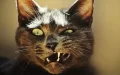Gatos callejeros siembran el caos en Casablanca : concejala exige acción urgente